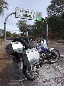 Chihuahua here we come