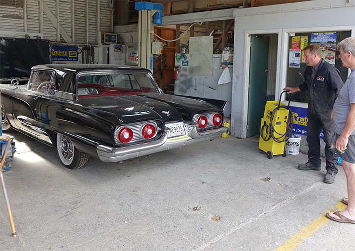 T-Bird Paint