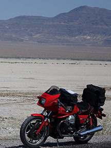 Chihuahua here we come